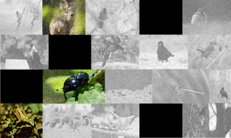 Image exhibition2 website 5